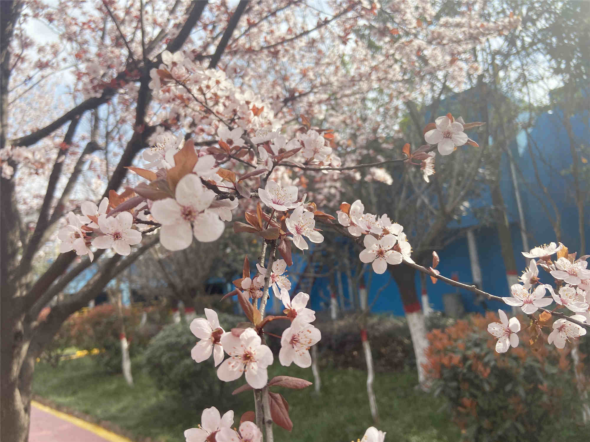 著新裝、換新顏，“我們”在行動(dòng)