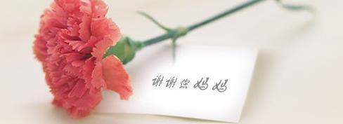 母親，母親