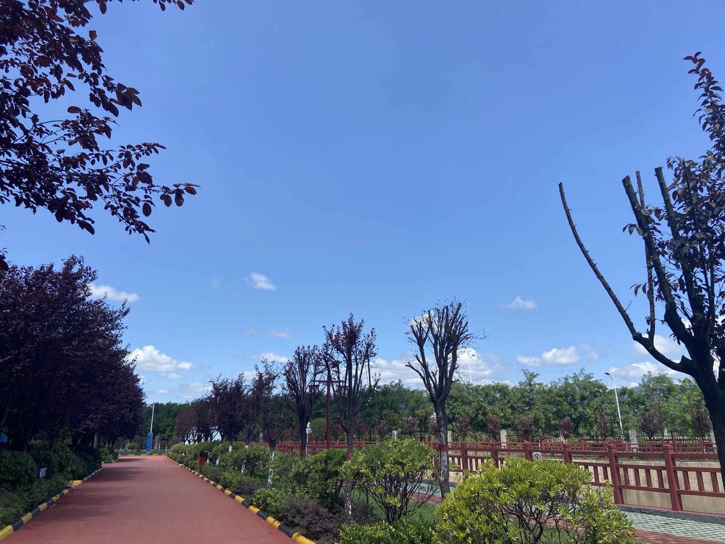 又到風(fēng)起葉落時(shí)！漢鋼那么美，我想帶你去看看