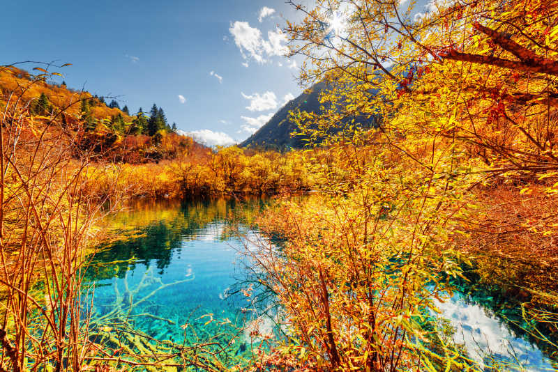 共秋色，紅塵馳騁