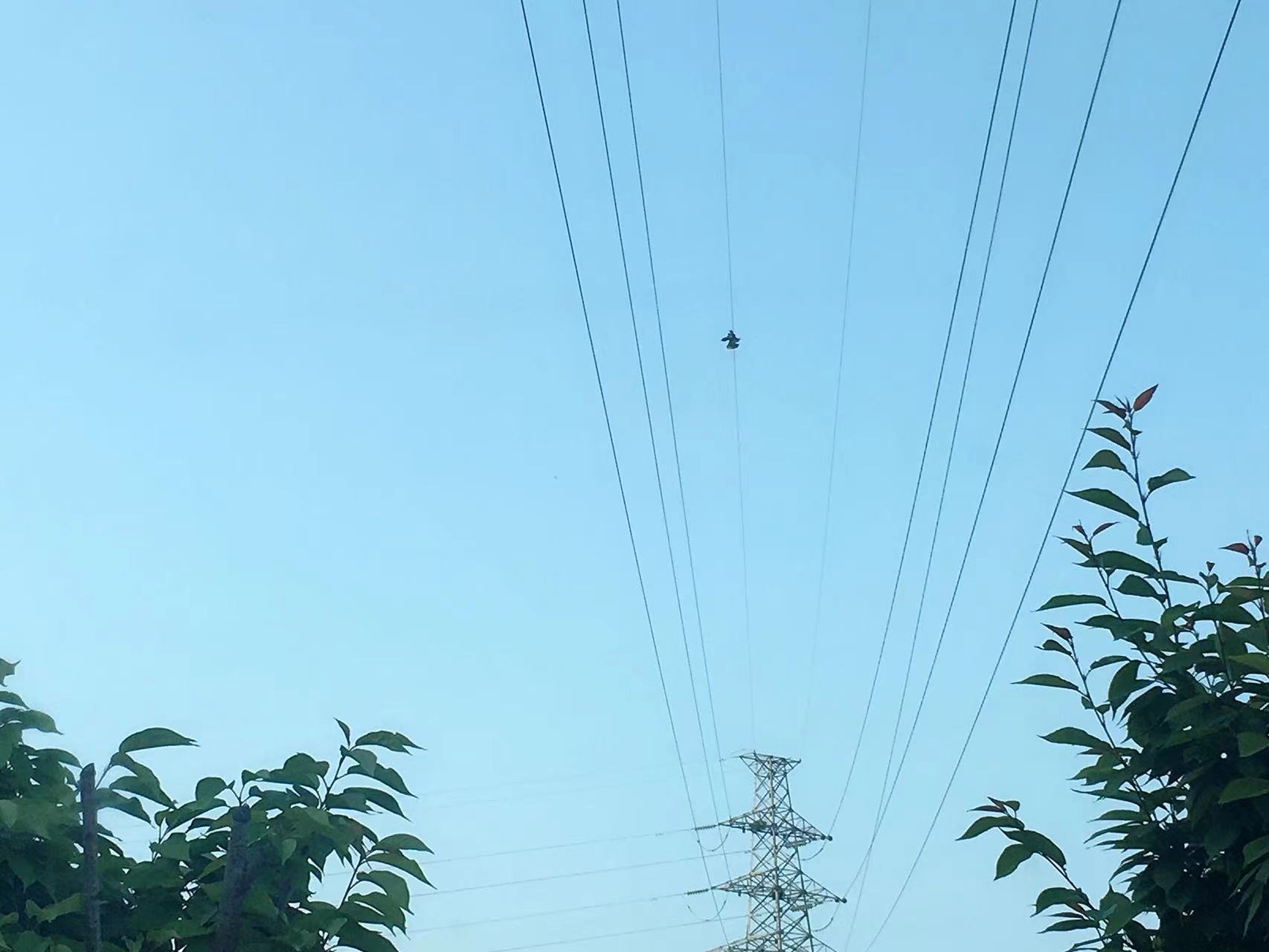 h䓹oϵn  hﱣoվcٝ
