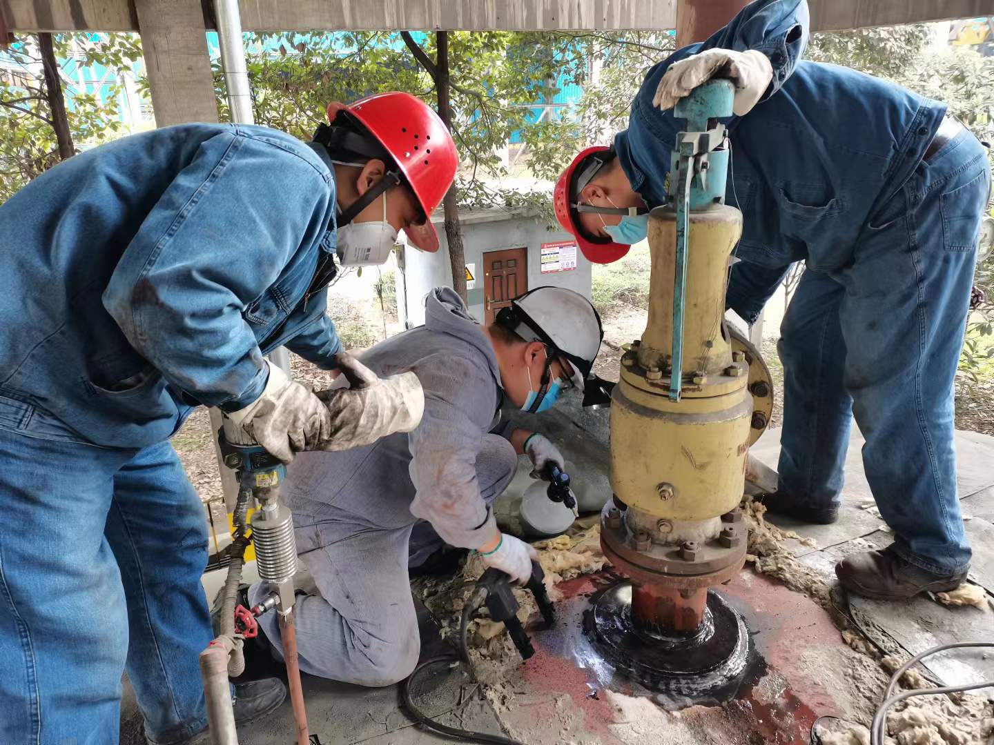 (x)̡TƷ (yn)(x)㡱ٰȫ