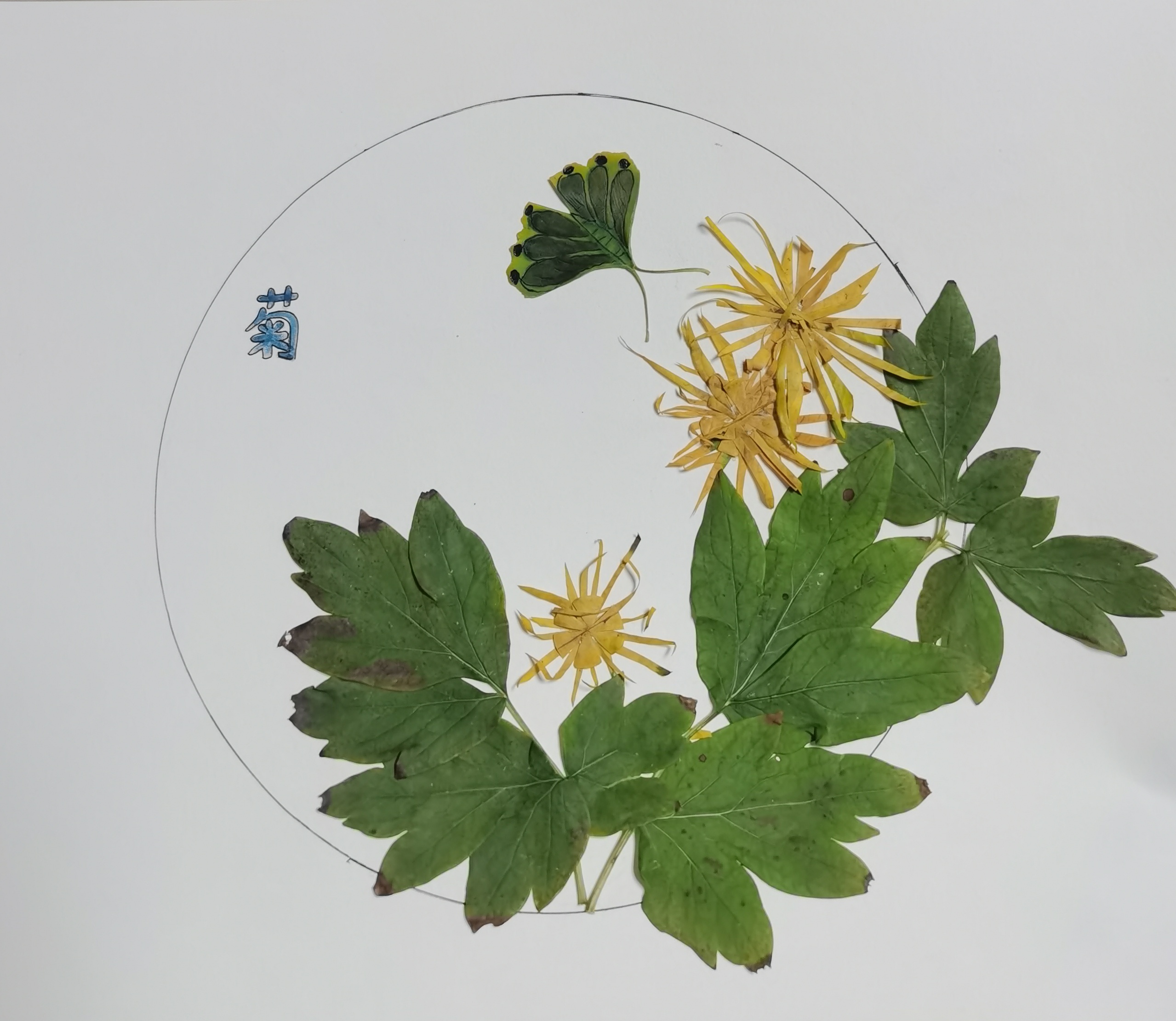 樹(shù)葉畫“廉潔” 清風(fēng)潤(rùn)心田 樹(shù)葉畫“廉潔” 清風(fēng)潤(rùn)心田