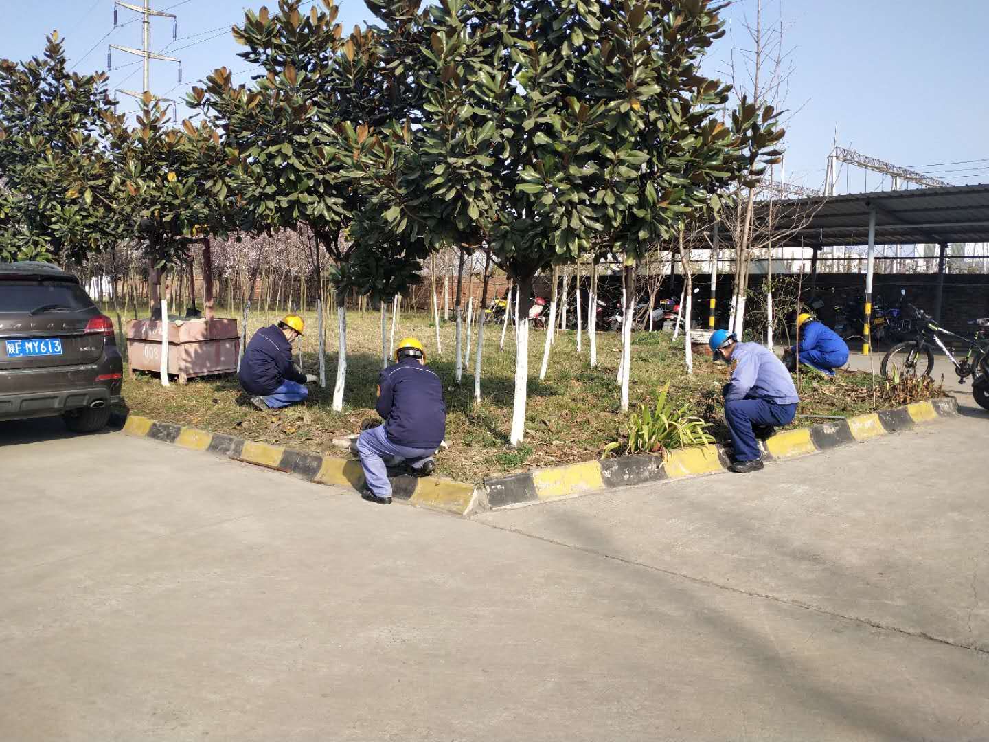 䓳ԷoG  鴺