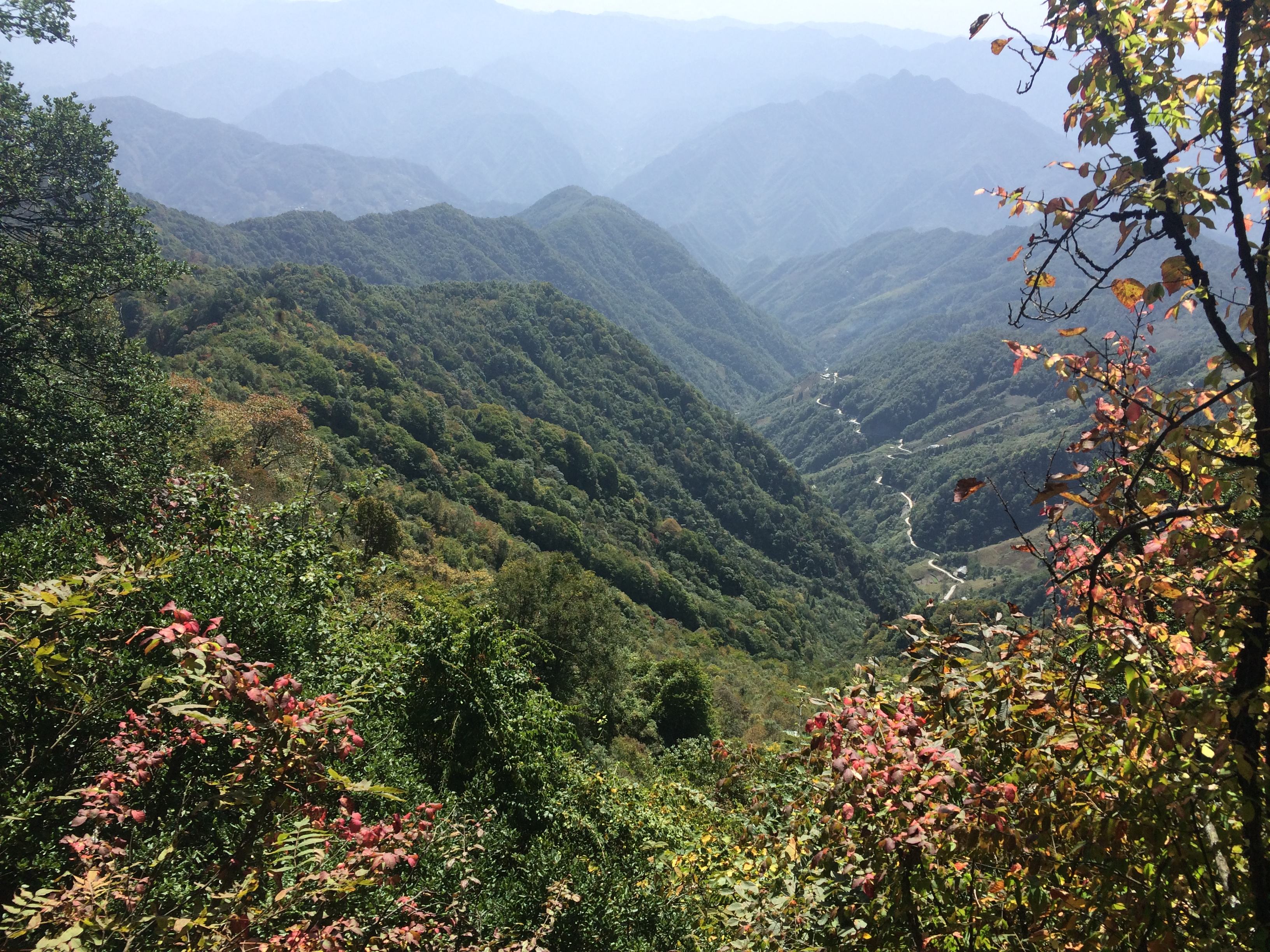 【鋼城文苑】倘若來(lái)一場(chǎng)旅行