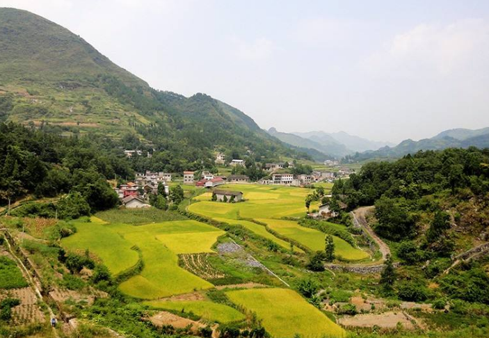 我愛(ài)我的家